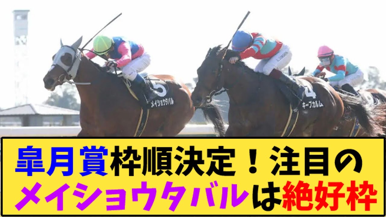 【競馬】｢皐月賞枠順決定！注目のメイショウタバルは絶好枠」に対する反応【反応集】