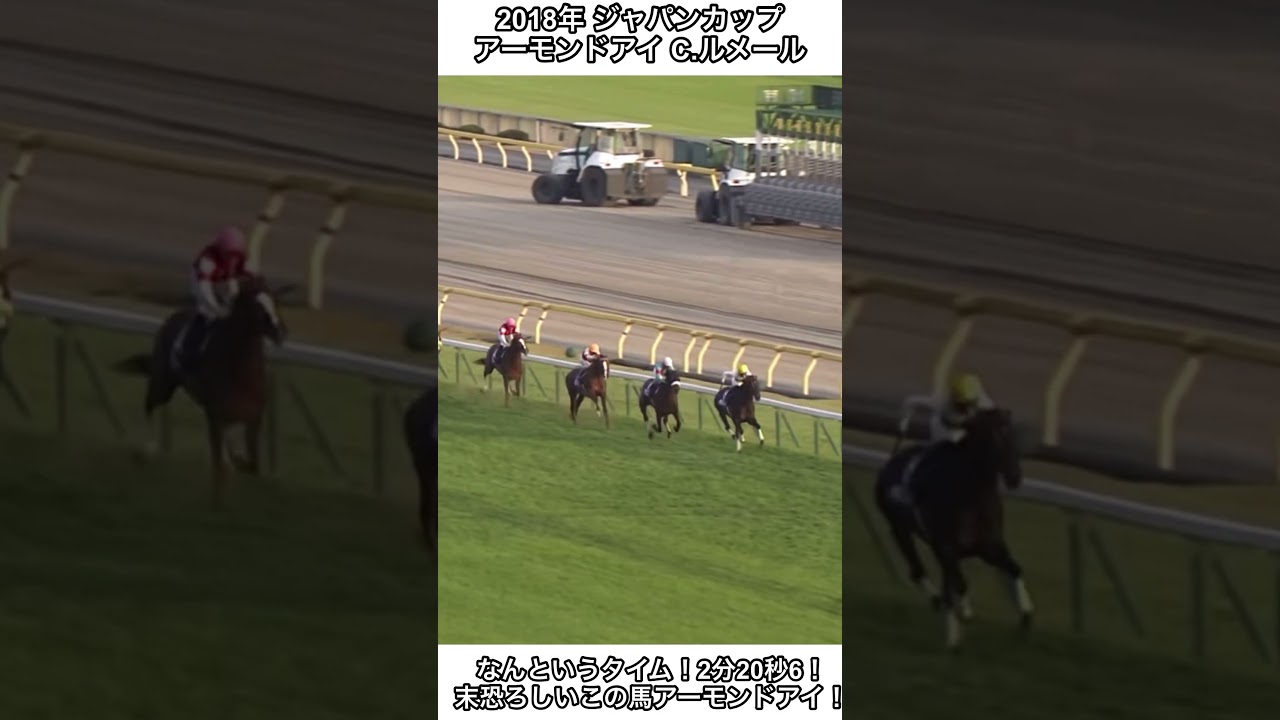 【競馬】なんというタイム！2分20秒6！信じられないタイムで駆け抜けました！#競馬 #ジャパンカップ #アーモンドアイ #shorts