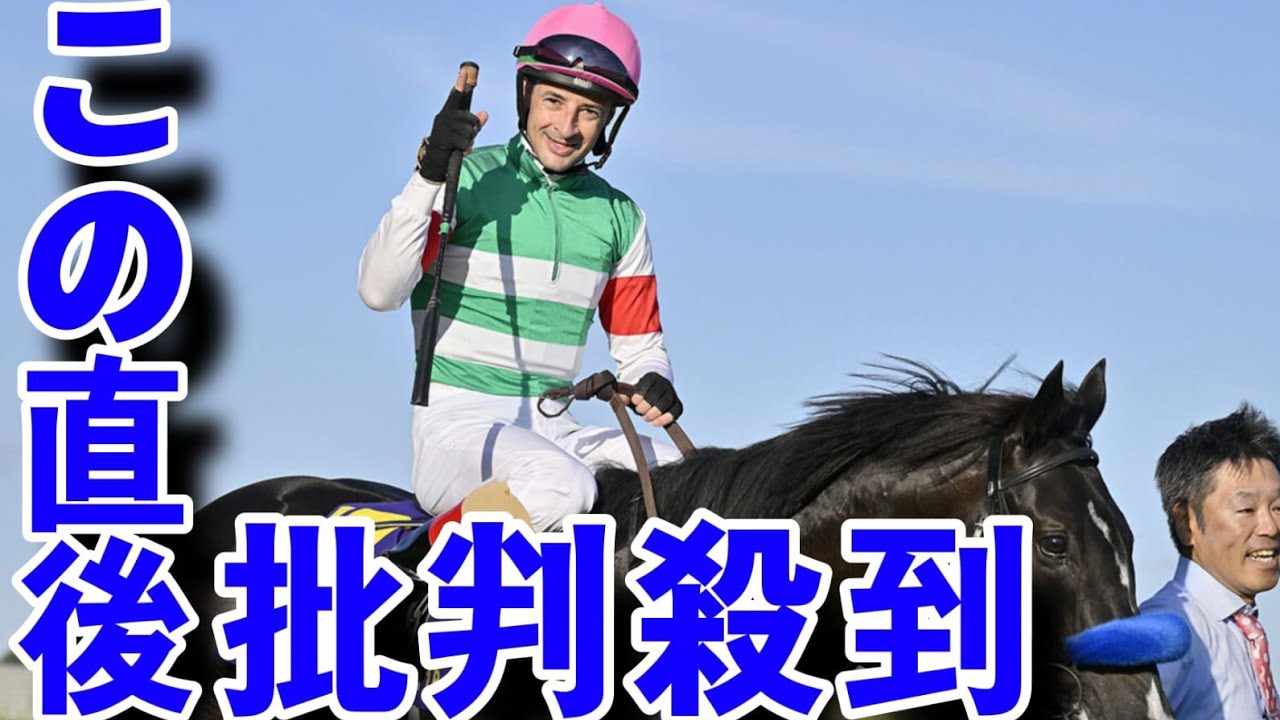 菊花賞を圧勝したドゥレッツァは、本当に天皇賞・春の最有力候補と言えるのかwhite cat