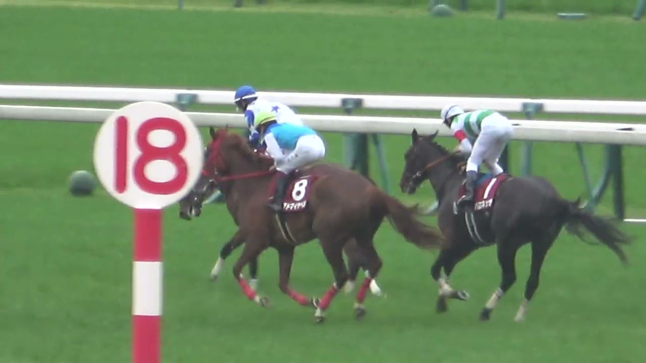 【フローラS2024】勝ってオークスへの出走権を得たアドマイヤベル 現地映像