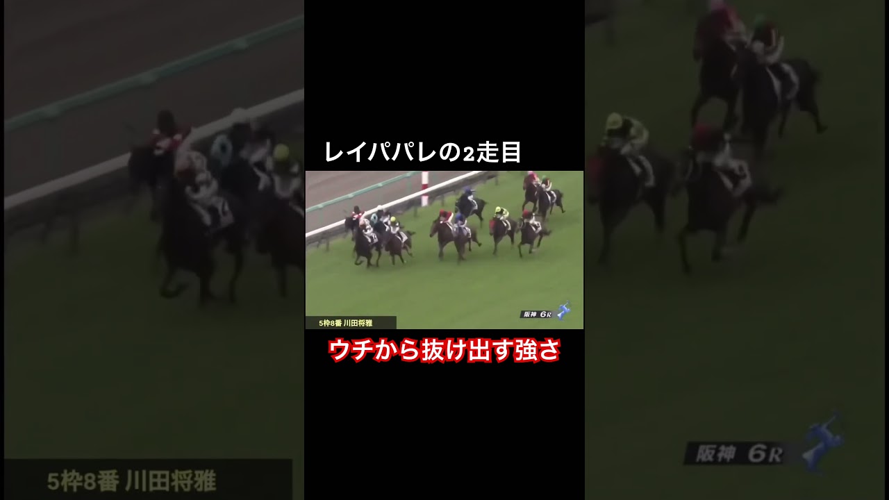 レイパパレの2走目が強すぎた！