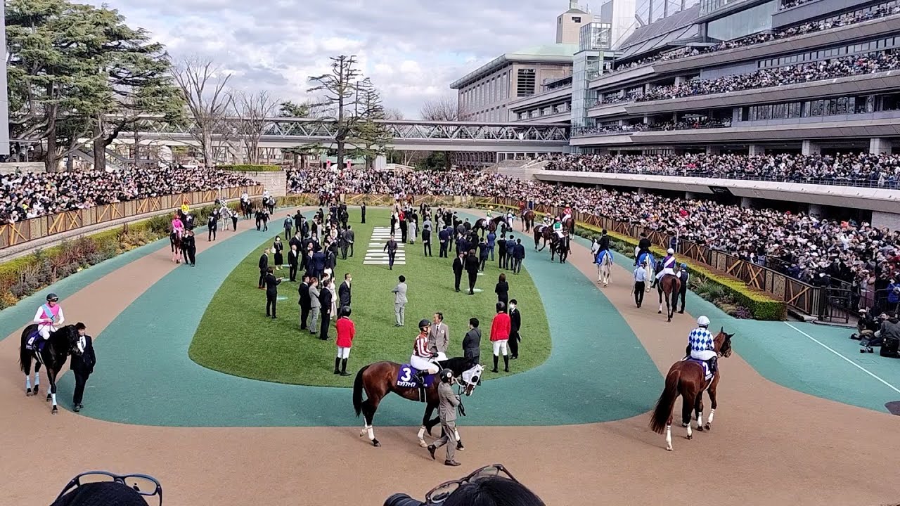 アタック！地方競馬｜第256回｜PLAYBACK  フェブラリーステークス｜NAR公式