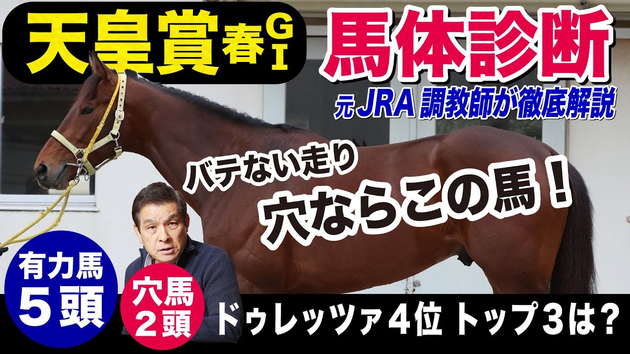 【天皇賞・春2024】中村均元調教師が馬体診断　有力馬５頭＋穴馬２頭を徹底解説《東スポ競馬ニュース》