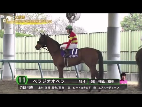 2024年 大阪杯 (GI) 本馬場入場 【べラジオオペラ】