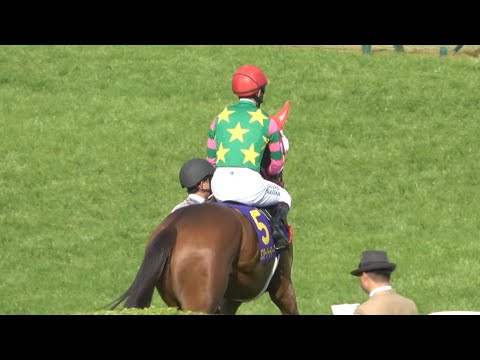 【皐月賞2024】本馬場入場で藤岡佑介への声援が一際大きかった 現地映像 ジャスティンミラノ
