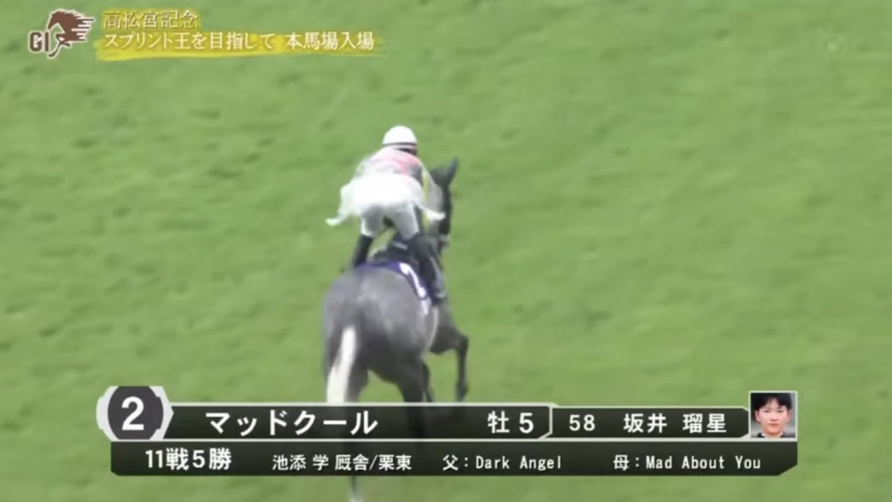 2024年 高松宮記念 (GI) 本馬場入場 【マッドクール】
