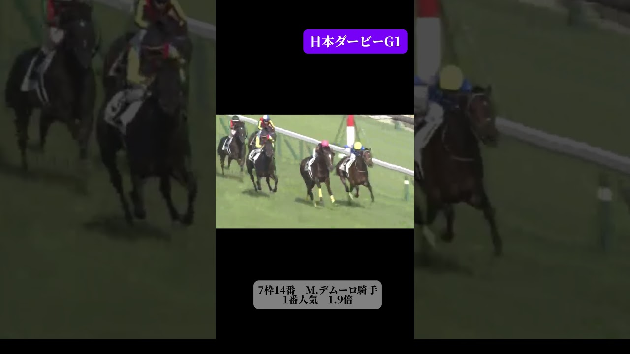 ドゥラメンテ　日本ダービー　2015 #jra #競馬 #ウマ娘 #ドゥラメンテ #日本ダービー #東京優駿