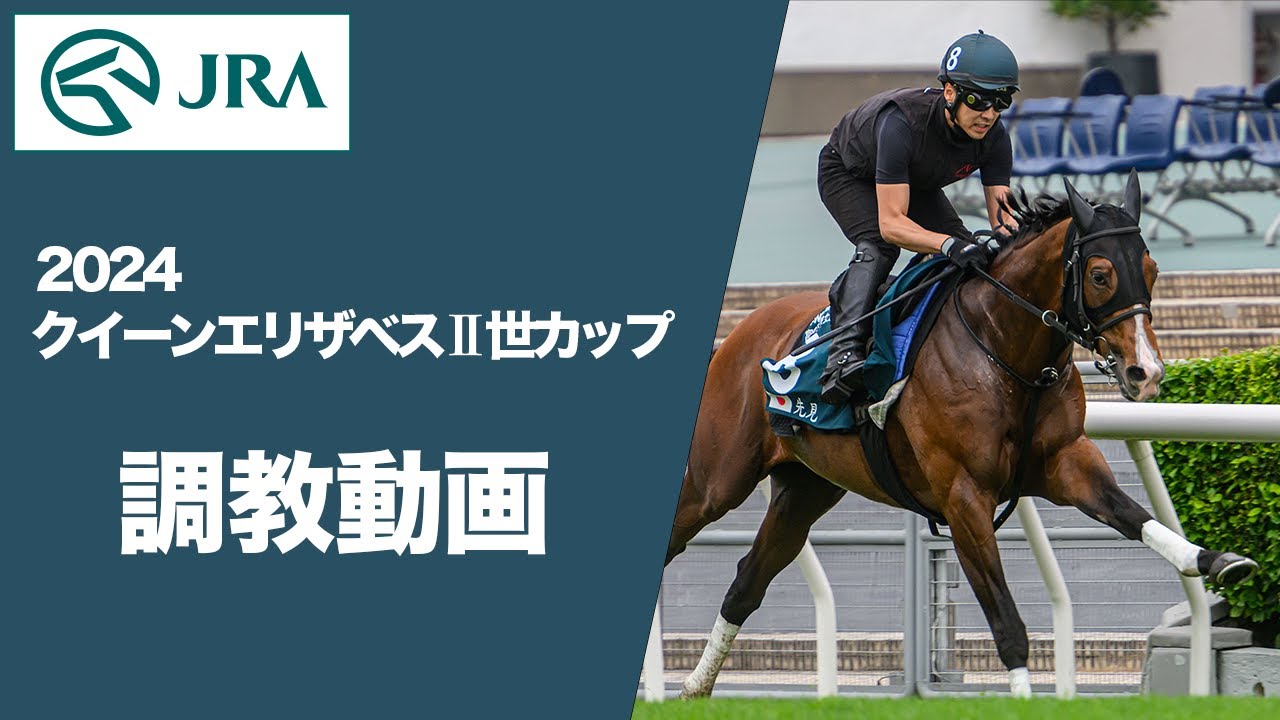 【調教動画（馬番順）】2024年 クイーンエリザベスⅡ世カップ（G1） | JRA公式