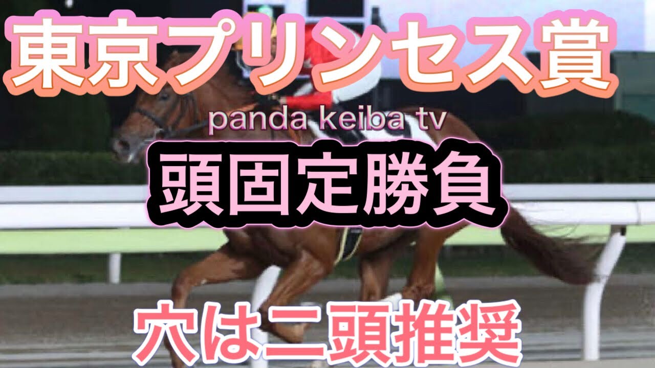 【東京プリンセス賞 2024】頭固定‼️穴は二頭推奨‼️今日もフルスイング勝負🔥panda keiba tv