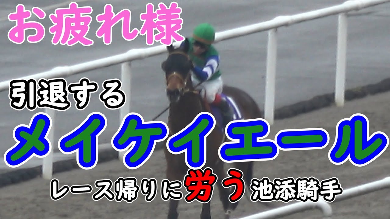 【メイケイエール】引退レース 走り終えた後に労う池添騎手 現地映像 その他たっぷりメイケイエールのみ