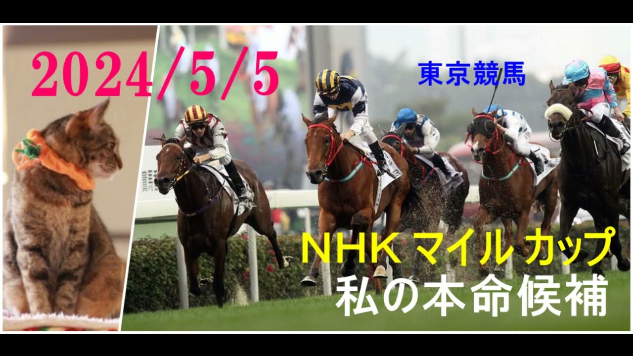 2024/5/5　東京競馬　ＮＨＫ マイル カップ（ＧⅠ）私の本命候補