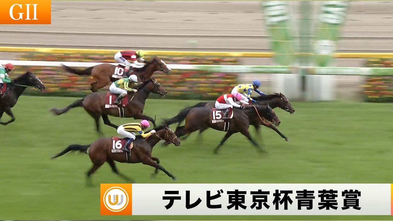 【レース映像】テレビ東京杯青葉賞（GII） 東京競馬場11R ｜ウイニング競馬 2024年4月27日