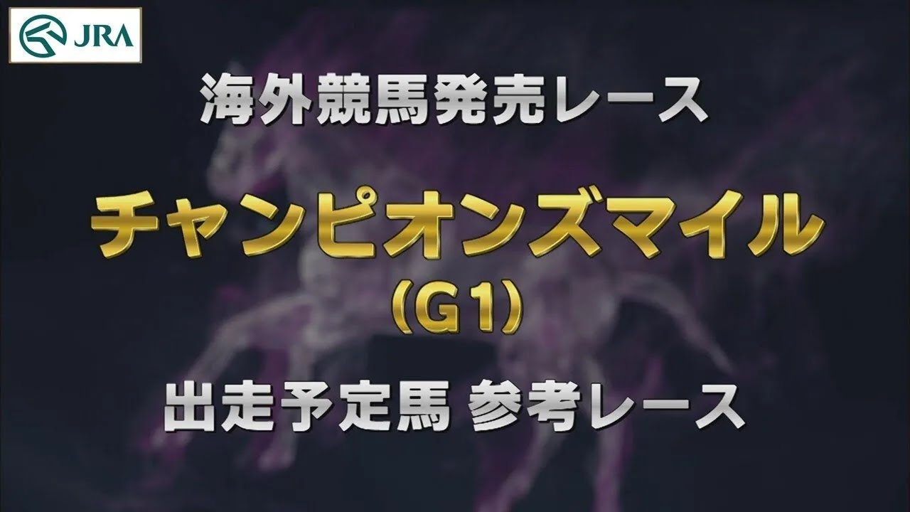 【参考レース】2024年 チャンピオンズマイル（G1）｜JRA公式