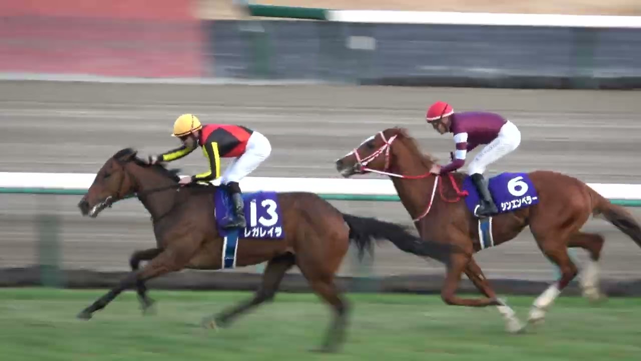 【ホープフルステークス2023】 牝馬が初めて勝利‼ ウィニングラン 現地映像 レガレイラ