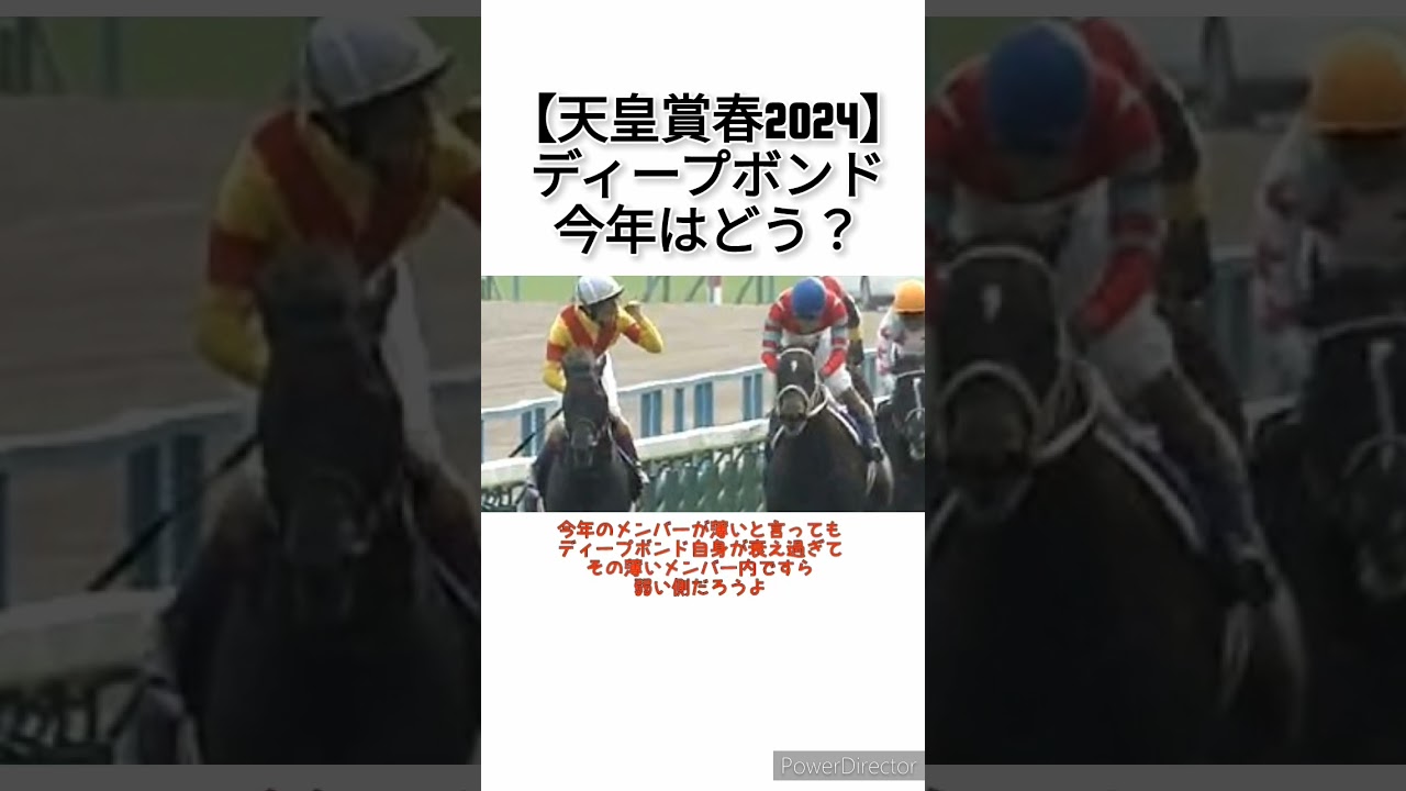 【天皇賞春2024】3年連続2着ディープボンドさん今年はどうなの？　 #競馬