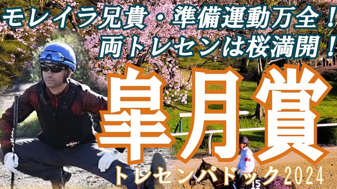 モレイラ兄貴・準備運動万全！両トレセンは桜満開！【皐月賞(GⅠ)】トレセンでの馬の状態確認！！ 競馬予想に役立つ！？ /  出走馬　トレセンパドック2024