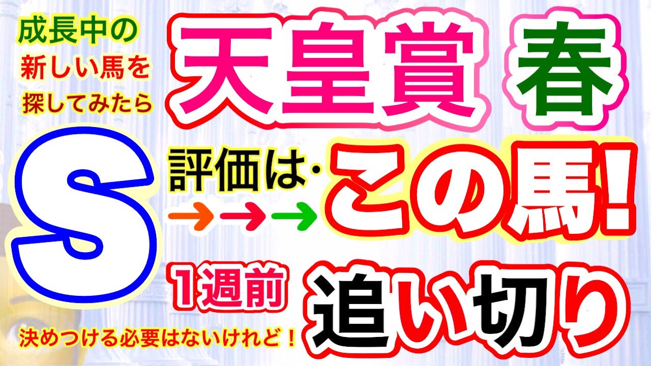 穴党専科❣️【天皇賞春2024】しーいちの一週前追い切り評価