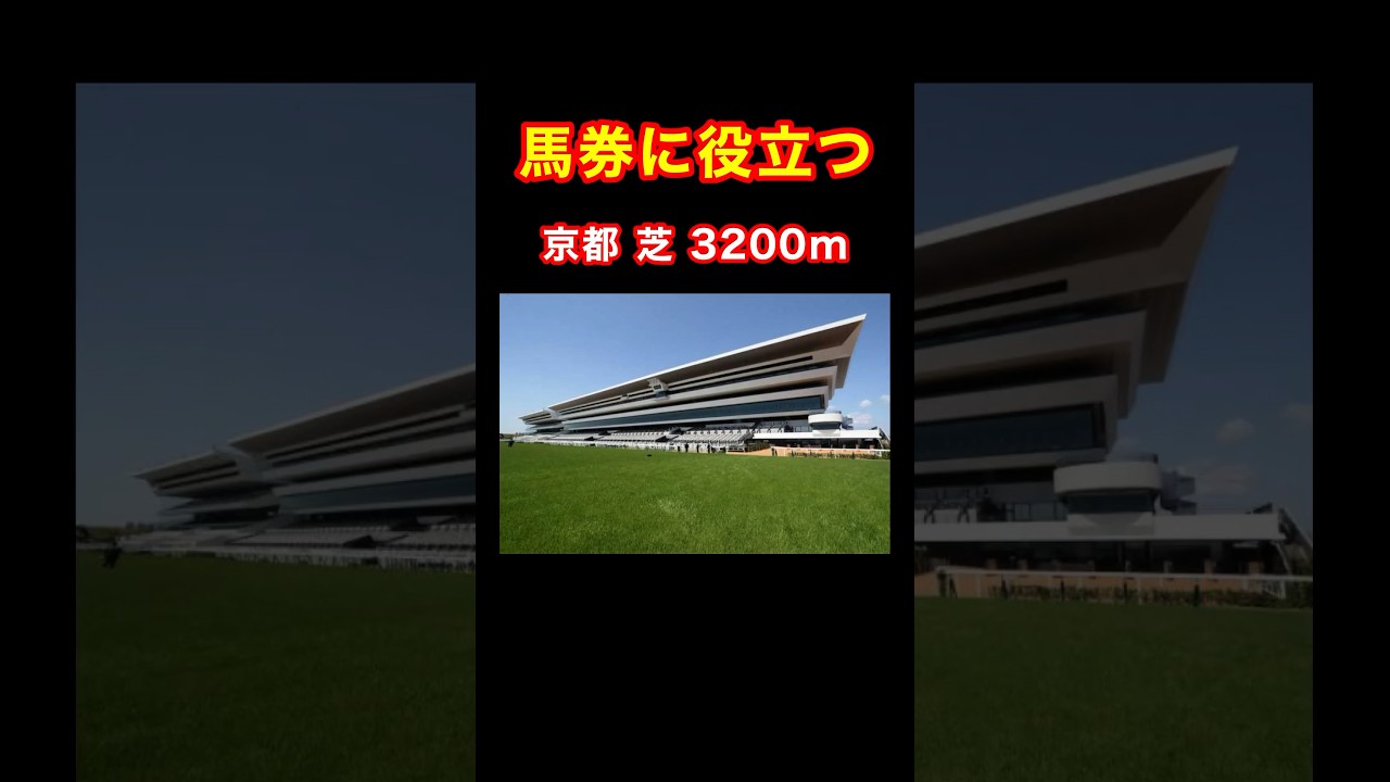 【馬券に役立つ京都 芝 3200m】 #競馬 #天皇賞春 #競馬予想