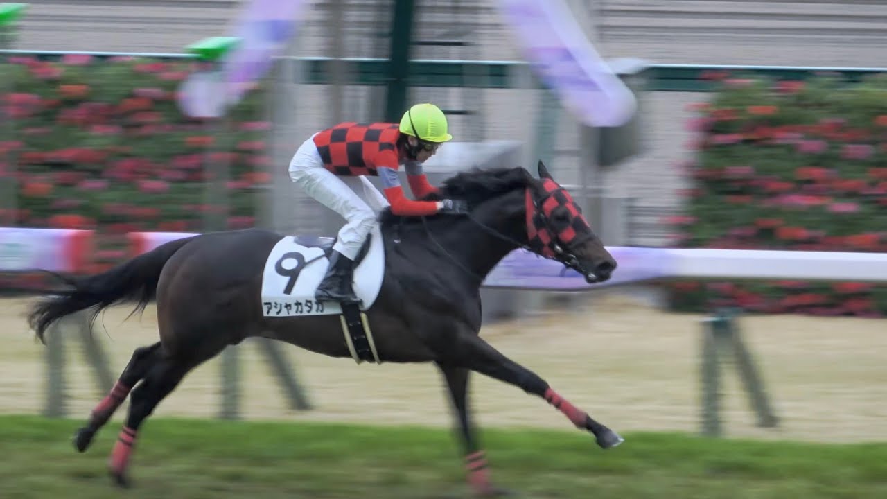 【武豊】高松宮記念day 第8R 高松宮記念と同じ1200ｍでアシャカタカを勝利に導く 現地映像