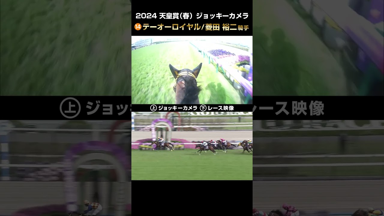 【ジョッキーカメラ×レース映像】2024年天皇賞（春）テーオーロイヤル 菱田裕二騎手 #shorts ｜JRA公式