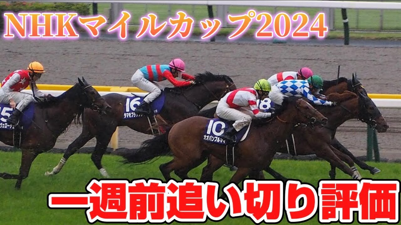 NHKマイルカップ2024 一週前追い切り評価