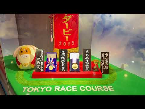 【第90回 日本ダービー(GI)】現地レース映像