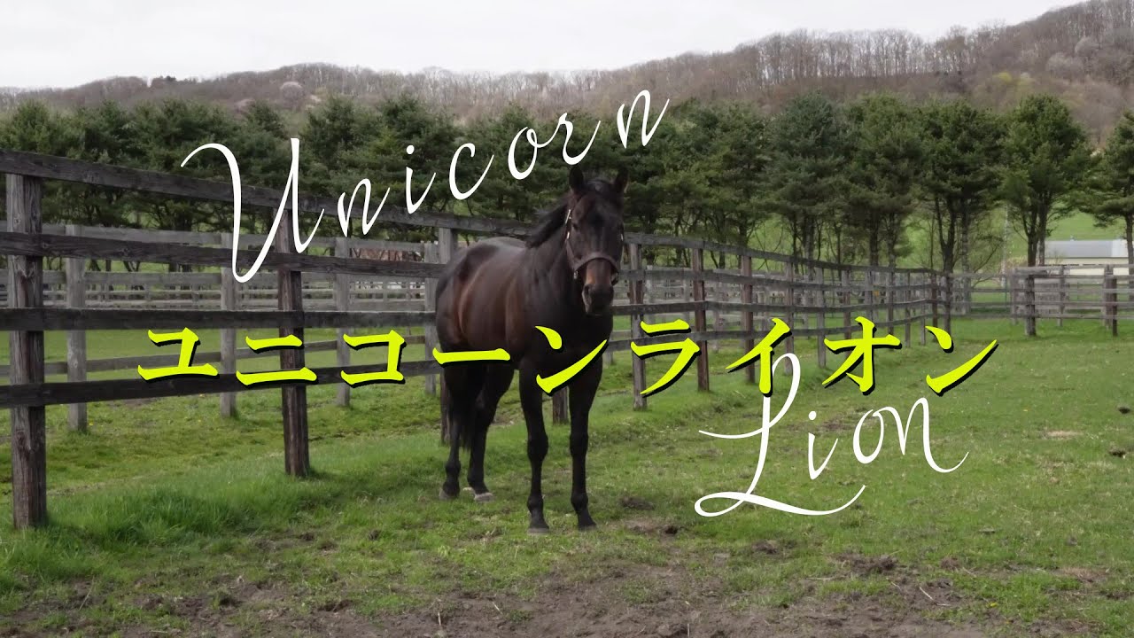 ユニコーンライオン