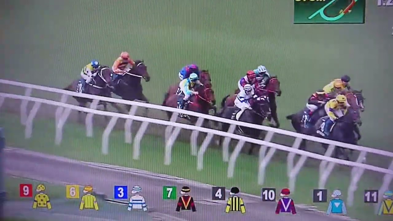 2024 第50回クイーンエリザベス2世C(香港G1)-ロマンチックウォリアー
