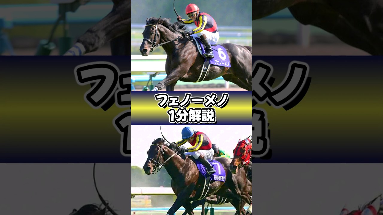 マ～メちん❤  #フェノーメノ #マメちん #1分解説 #shorts