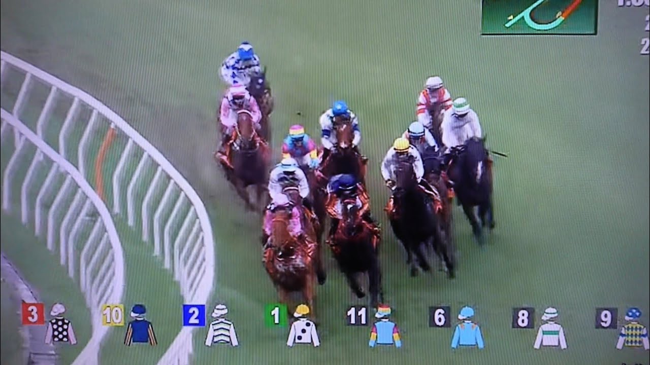 2024 第24回チャンピオンズマイル(香港G1)-ビューティーエターナル