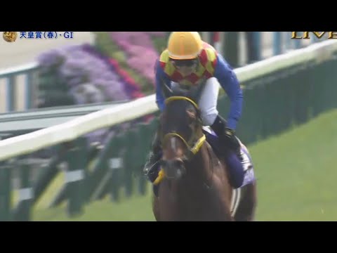 2024年 天皇賞・春 (GI) テーオーロイヤル