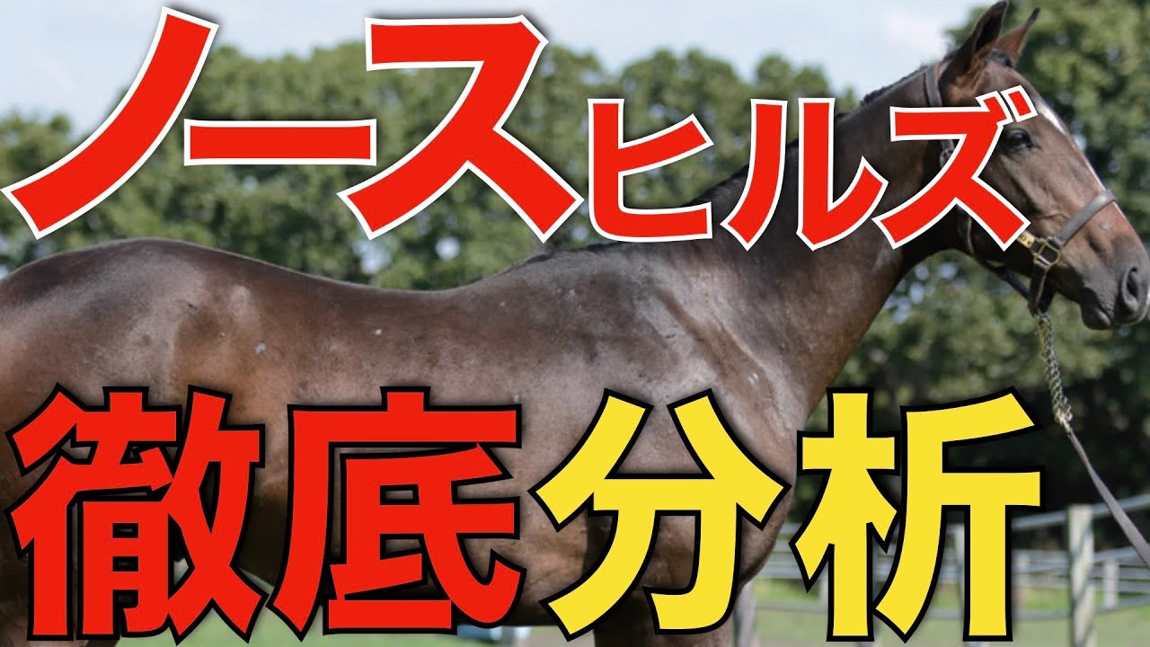 日本ダービー3度制覇！名門ノースヒルズが選ぶ種牡馬とは。