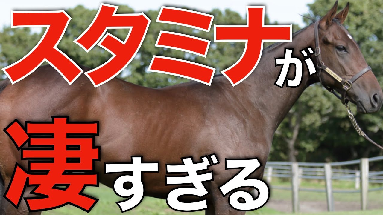 文句なしの最強ステイヤーが誕生！天皇賞春を血統回顧。