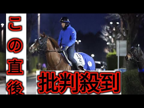 【３歳次走報】羽田盃２着アンモシエラは東京ダービーと関東オークスの両にらみ