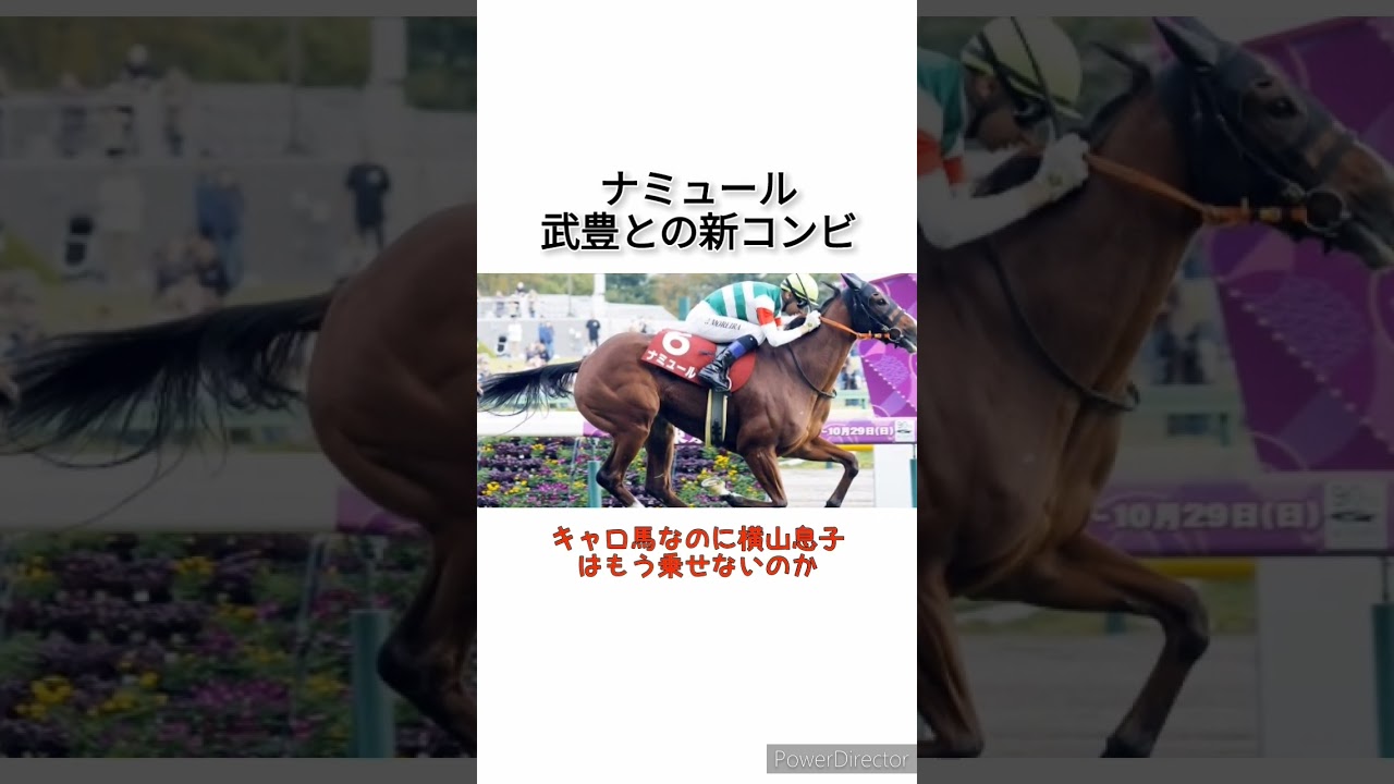 ナミュールは武豊との新コンビでヴィクトリアマイルへ　 #競馬