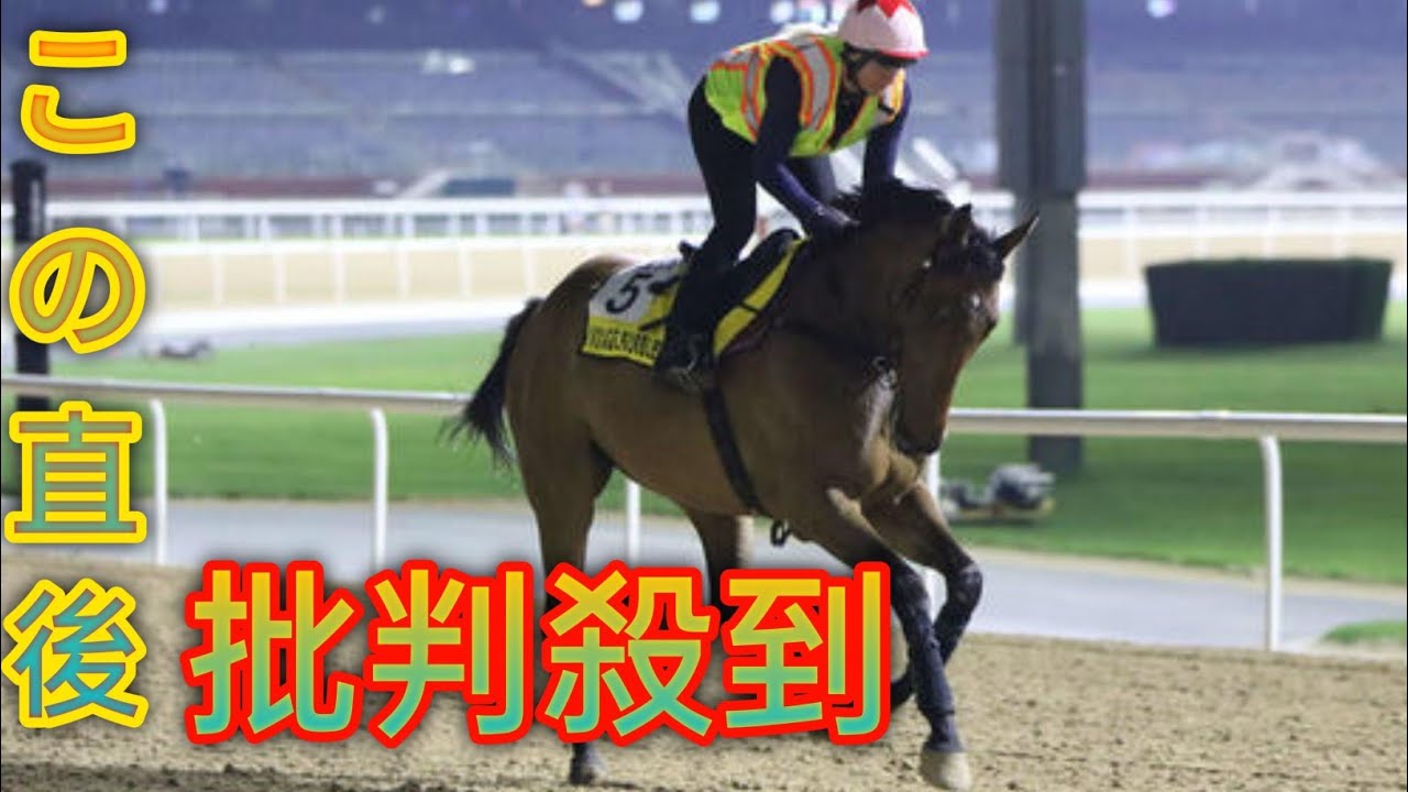 近日中に決定へ…ヴォイッジバブルは安田記念、ロマンチックウォリアーakariは宝塚記念と両にらみ