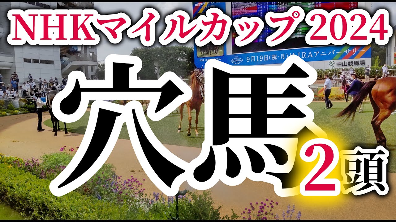 【NHKマイルカップ 2024】穴馬候補はレベルの高い馬としのぎを削って来たあの馬達をピックアップ！NHKマイルカップの穴馬候補を徹底考察！