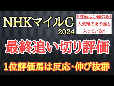 【NHKマイルカップ2024】最終追い切り評価！ジャンタルマンタルら有力馬の動きはどうだったのか？そして個人的追い切り1位はどの馬だ！？