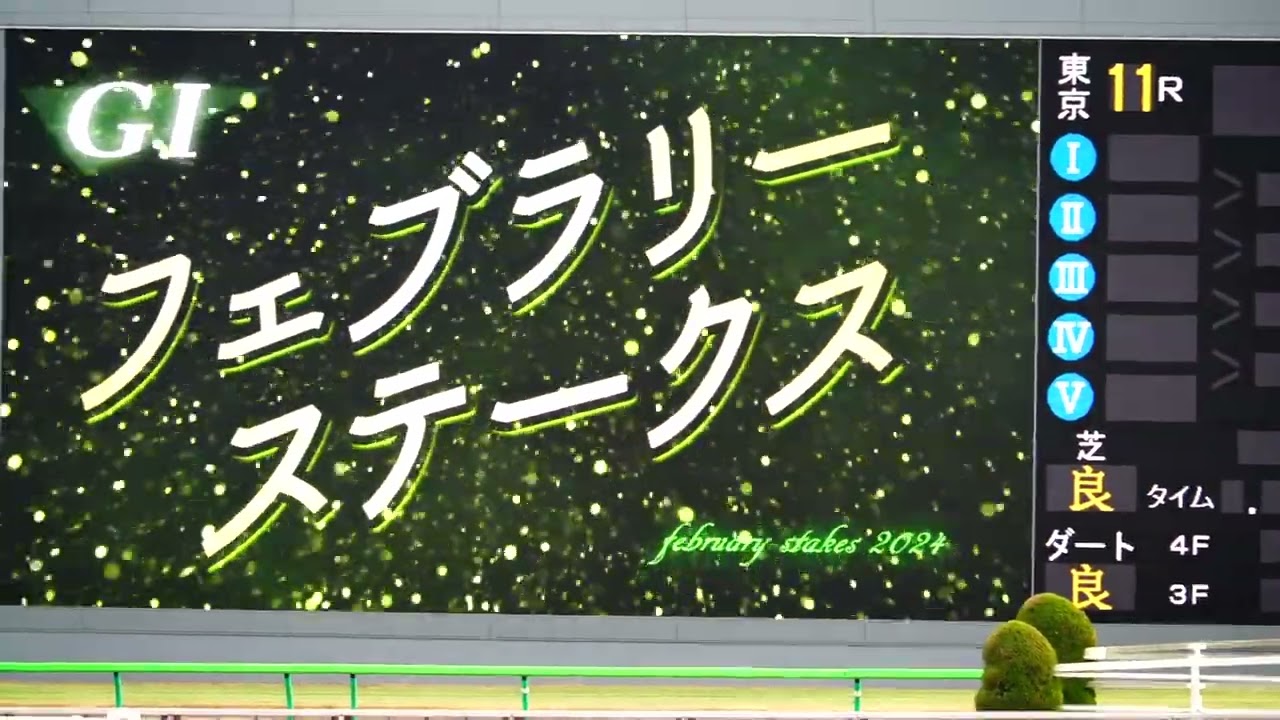 MAH02703　2024  フェブラリーステークス　G１　ファンファーレ