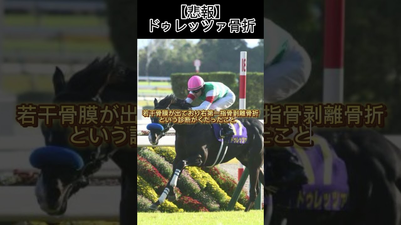 【悲報】菊花賞馬ドゥレッツァ骨折 #競馬 #nhkマイルカップ #天皇賞春2024 #ドゥレッツァ