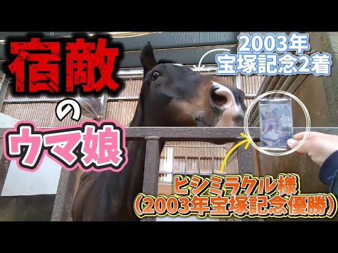 ツルマルボーイ様と2003年の宝塚記念で激戦を演じたヒシミラクル号。ウマ娘の姿で20年振りに再会した結果がこちらです。（大好きな相棒ツルマルボーイ様について語ります。）【ツルマルボーイ様のシモベ】