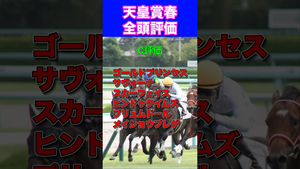 【天皇賞春2024全頭評価】S評価テーオーロイヤル1着🔥