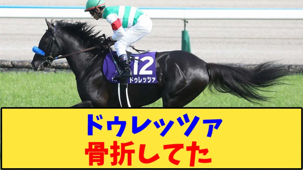 【競馬】「ドゥレッツァ、骨折していた」に対する反応【反応集】