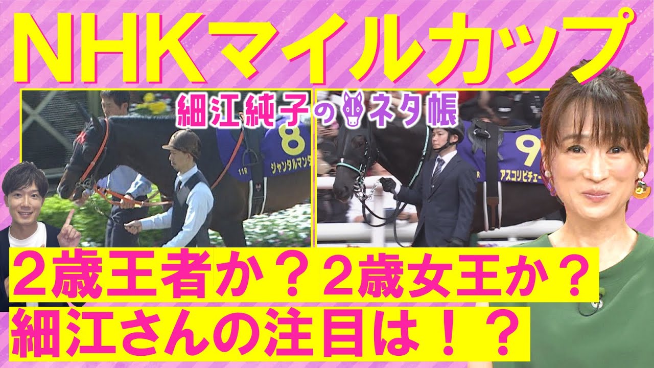 「追い切りがすごく良い！」ジャンタルマンタル、アスコリピチェーノ、ディスペランツァ・・・豪華メンバーが激突！NHKマイルカップ(ＧⅠ)を元ジョッキーの細江純子さんが徹底解説！＜細江純子のネタ帳＞