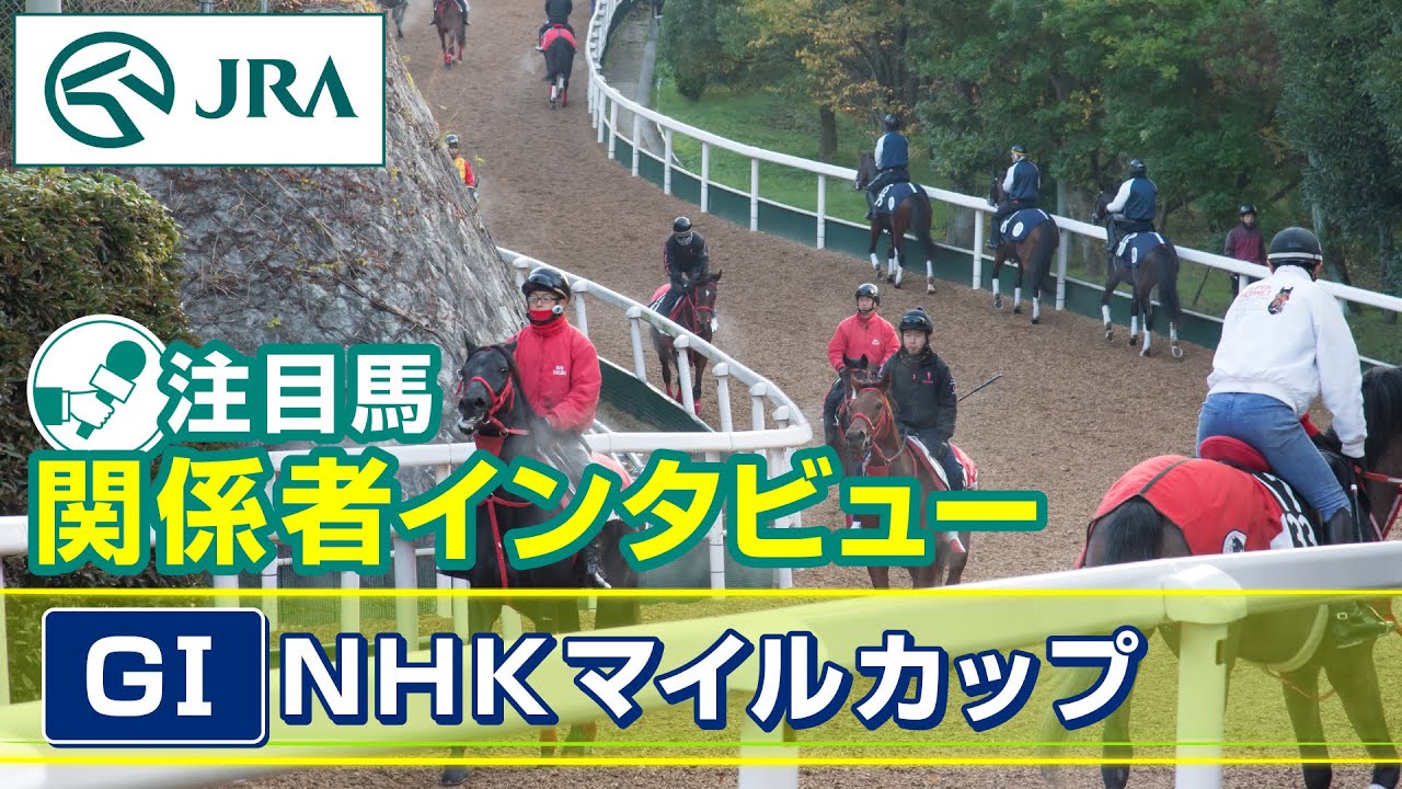 【注目馬 関係者インタビュー】2024年 NHKマイルカップ｜JRA公式