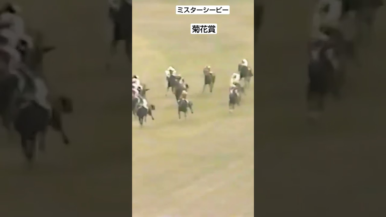 ミスターシービー　菊花賞
