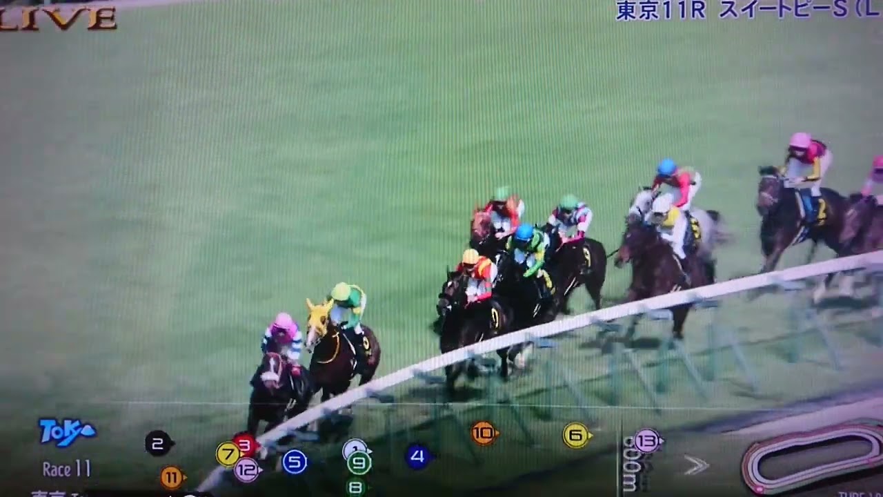2024 スイートピーステークス(リステッド・オークストライアル)-コガネノソラ