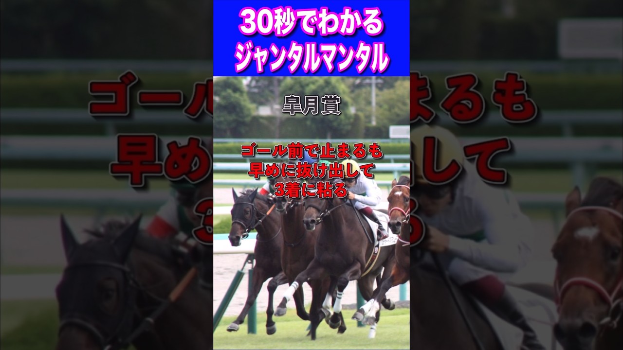 【NHKマイル2024】30秒でわかるジャンタルマンタル