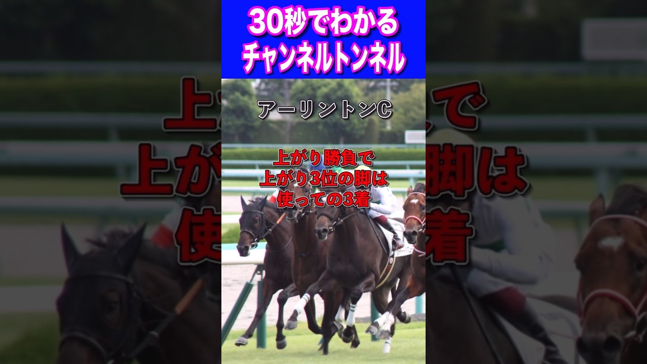 【NHKマイル2024】30秒でわかるチャンネルトンネル