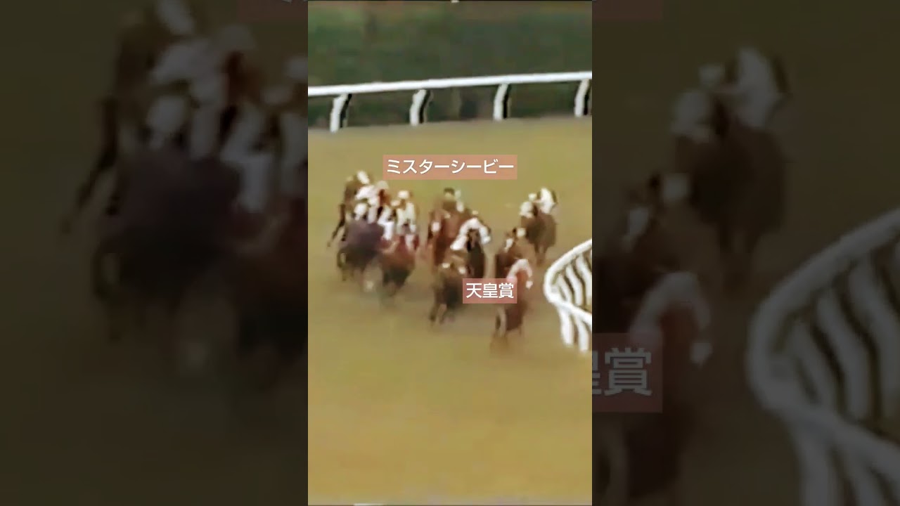 ミスターシービー天皇賞.秋